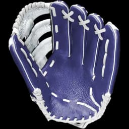 Will Colorado win the 2026 Pro Baseball Championship?