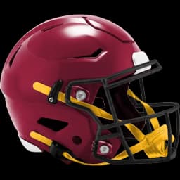 Will Arizona win the Pro Football NFC Championship?