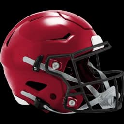 Will Atlanta win the Pro Football NFC Championship?