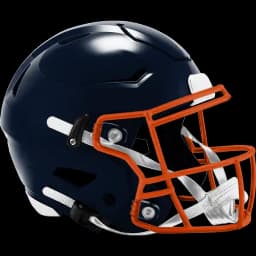 Pro Football NFC Championship Winner?