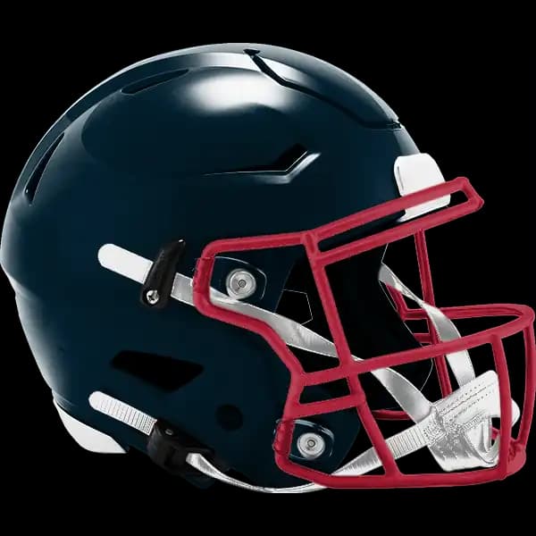 Pro Football AFC Championship Winner? (Houston)