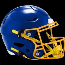 Pro Football NFC Championship Winner?