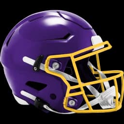 Will Minnesota win the Pro Football NFC Championship?