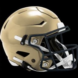 Will New Orleans win the Pro Football NFC Championship?