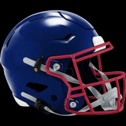 Will New York G win the Pro Football NFC Championship?