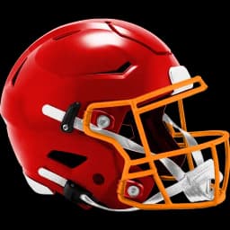 Will Tampa Bay win the Pro Football NFC Championship?