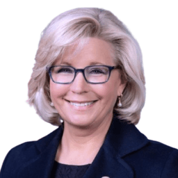 Will Liz Cheney win the 2028 Democratic presidential nomination?