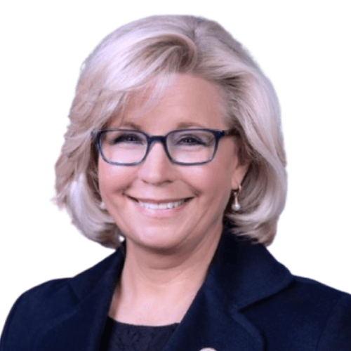 Will Liz Cheney win the 2028 Democratic presidential nomination?