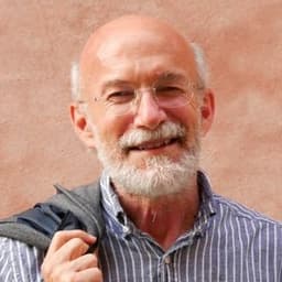 Will Giovanni Andrea Martini win the 2026 Venice mayoral election?