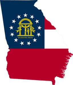 Georgia Governor Election Winner