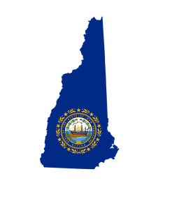 Who will win the Senate race in New Hampshire?