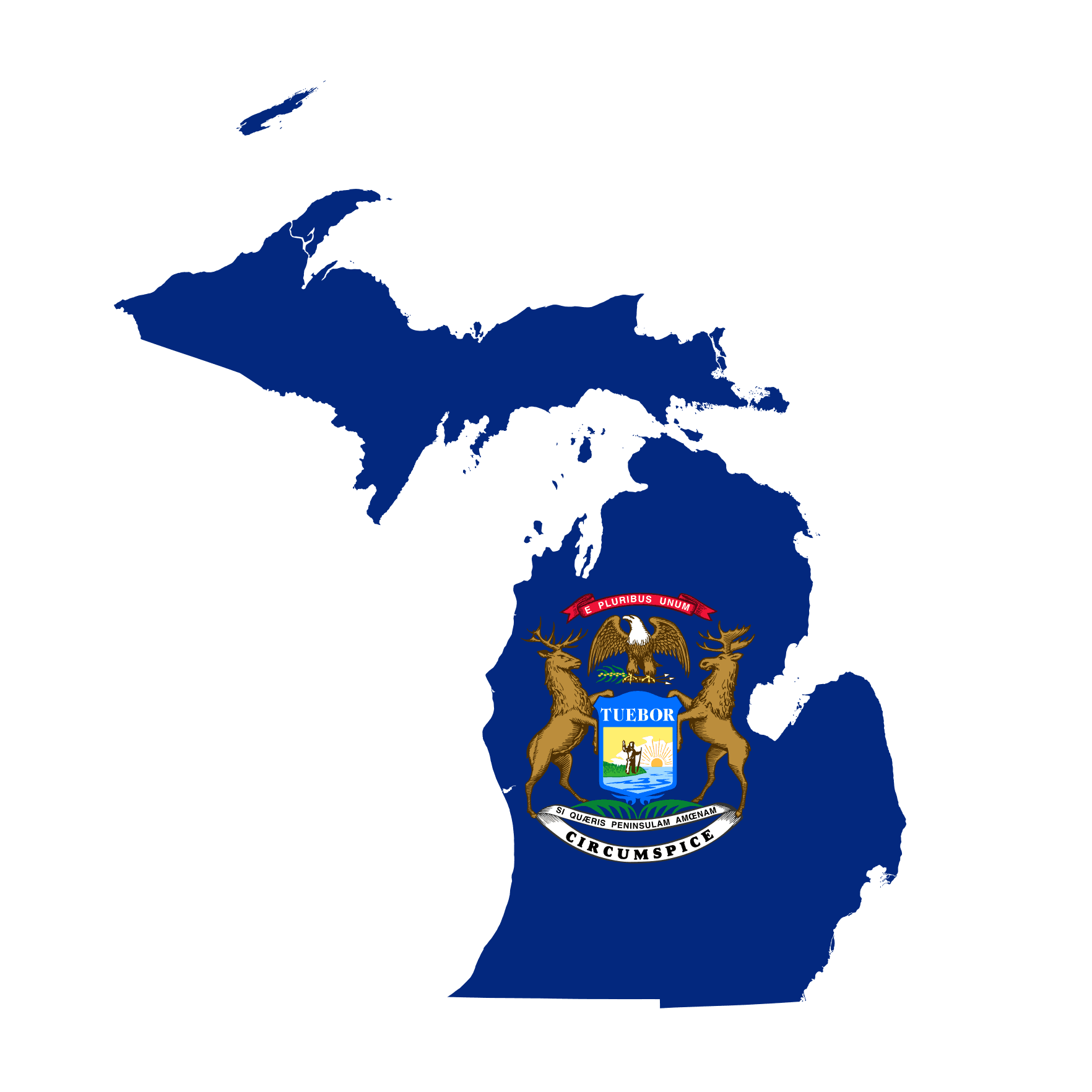 Michigan Governor Election Winner
