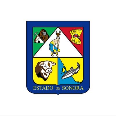 Sonora Governor Election Winner