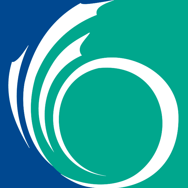 Ottawa Mayoral Election Winner