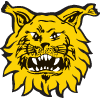 Ilves Tampere vs. Jokerit Helsinki