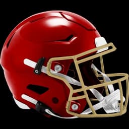 Pro Football NFC Championship Winner?