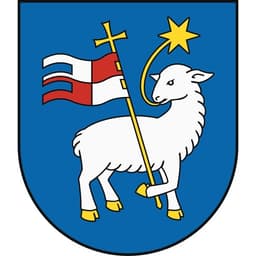 Trenčín Mayoral Election Winner