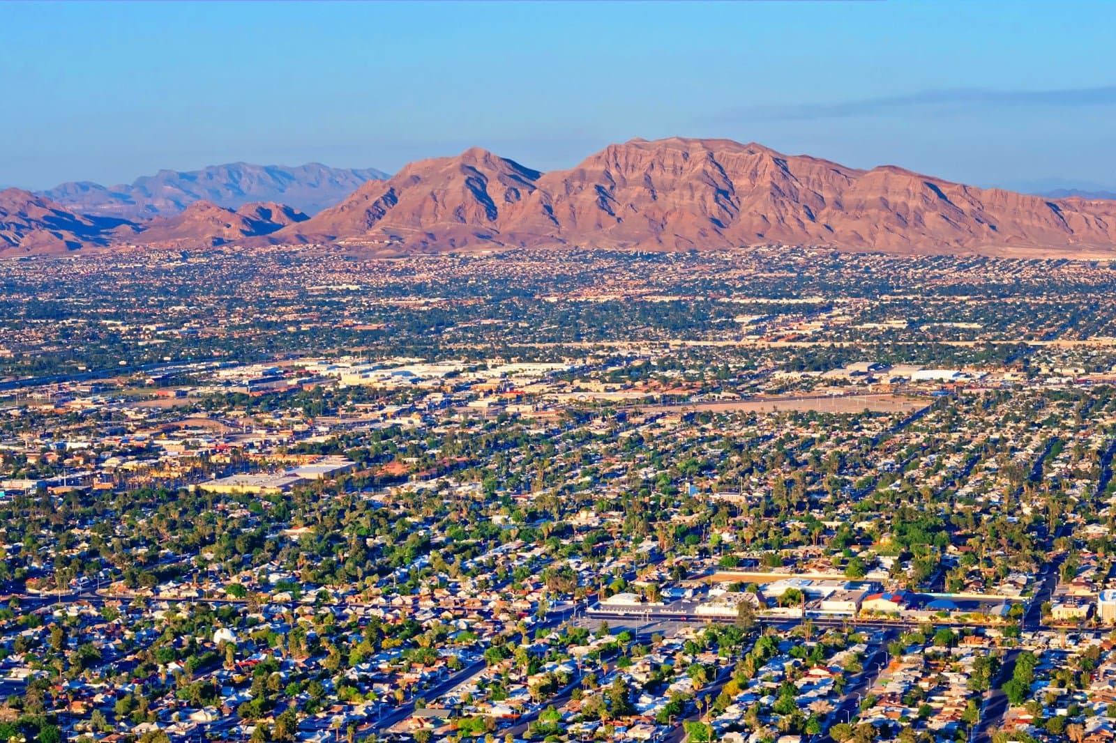 2026 North Las Vegas Mayoral Election Winner