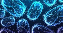 Nipah virus in US by March 31?