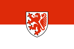 Braunschweig Mayoral Election Winner