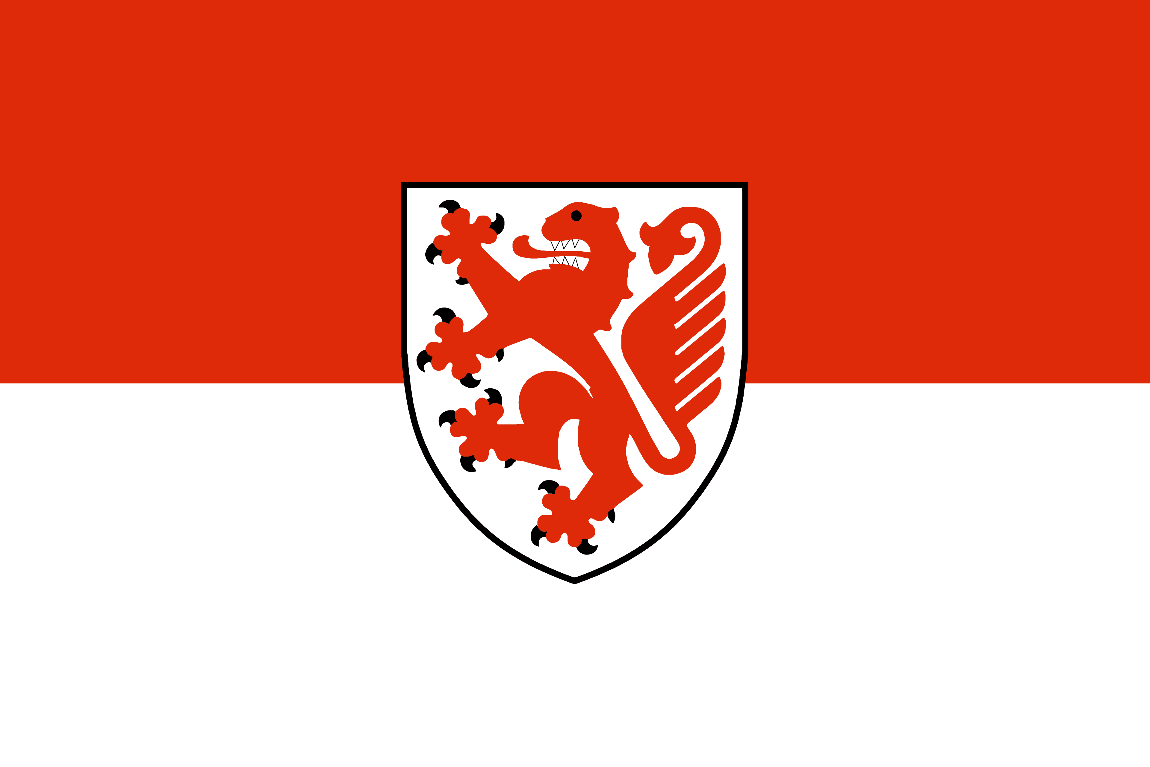 Braunschweig Mayoral Election Winner
