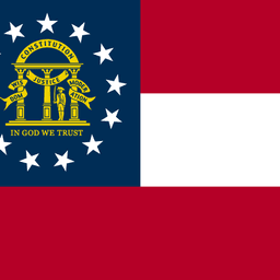 Democratic nominee for Governor in Georgia?