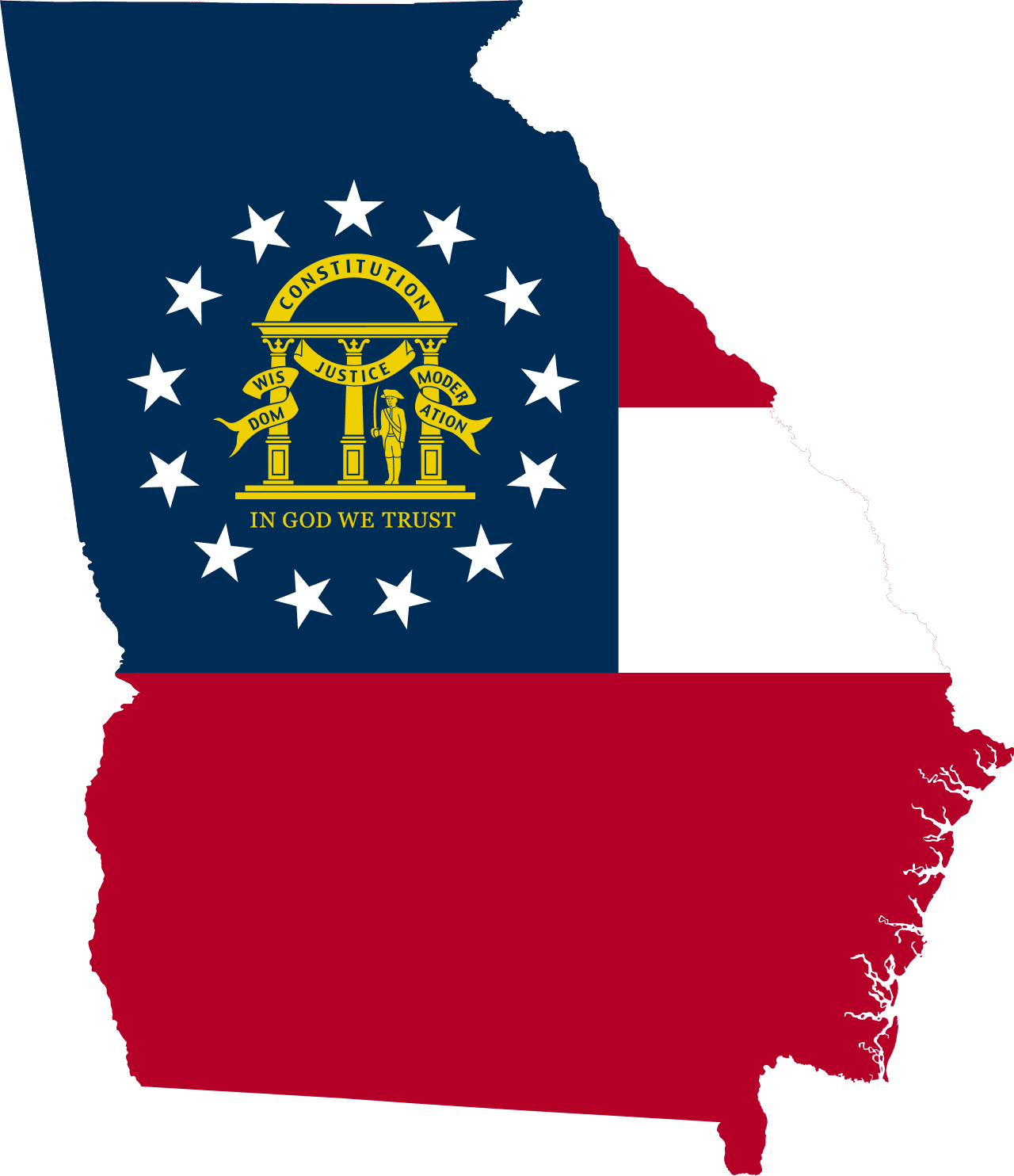 Georgia Senate Election Winner