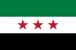 Houthis target Syria by...?