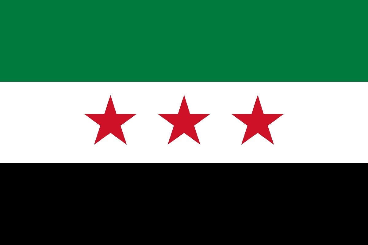 Houthis target Syria by...?