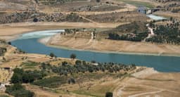 Israeli forces withdraw from beyond the Litani River by…?