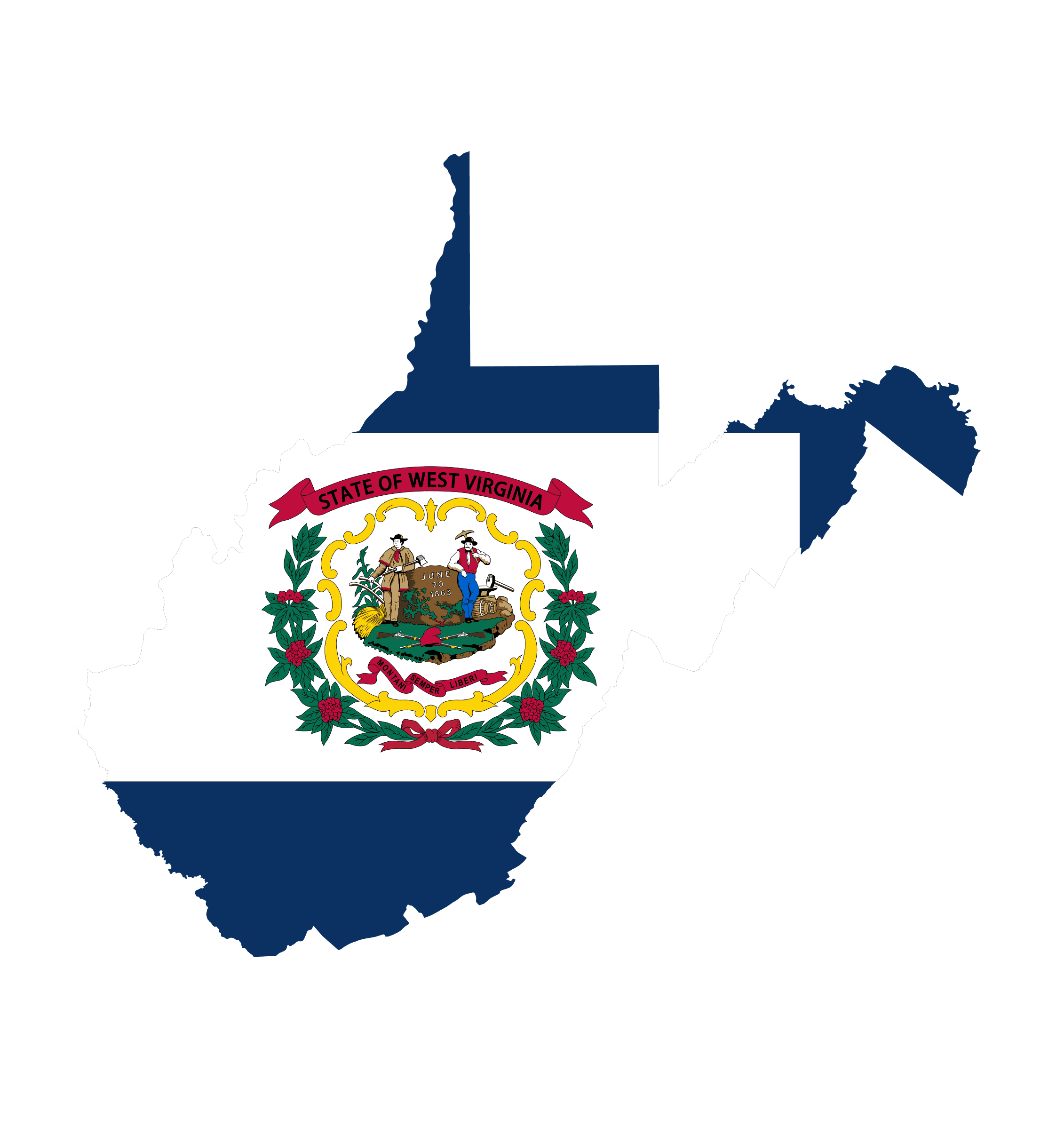 West Virginia Senate Election Winner