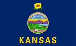 Democratic nominee for Senate in Kansas?