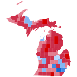 Michigan Senate and Governor Combo