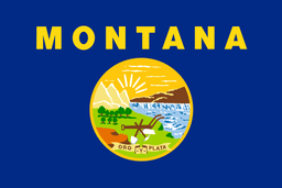 Montana Democratic Senate Primary Winner