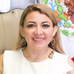 Will Reyna Tamayo Carballo win the 2027 Quintana Roo Governor Election?