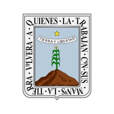 Morelos Congress Election Winner