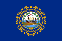 2028 Presidential Election: New Hampshire Winner