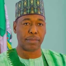 Will Babagana Buhari win the 2027 Borno State gubernatorial election?