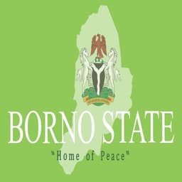 Borno, Nigeria Governor Election Winner