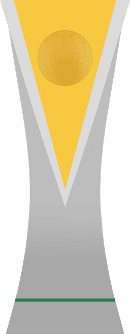 Brasileirão Série C: 2026 Runner-Up