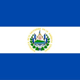 El Salvador Legislative Election: 2nd Place
