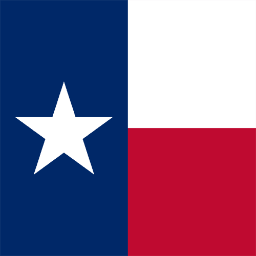 2028 Presidential Election: Texas Winner
