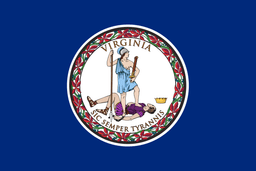 2028 Presidential Election: Virginia Winner