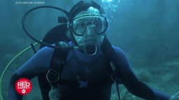 "Whalefall" Opening Weekend Box Office