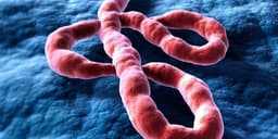 Ebola: new country confirmed before October 1?