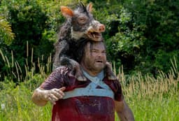 Will Anaconda make 70 million or more domestically by January 31?