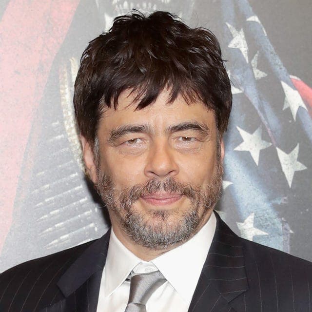 2026 Best Supporting Actor Oscar nominations? (Benicio del Toro)
