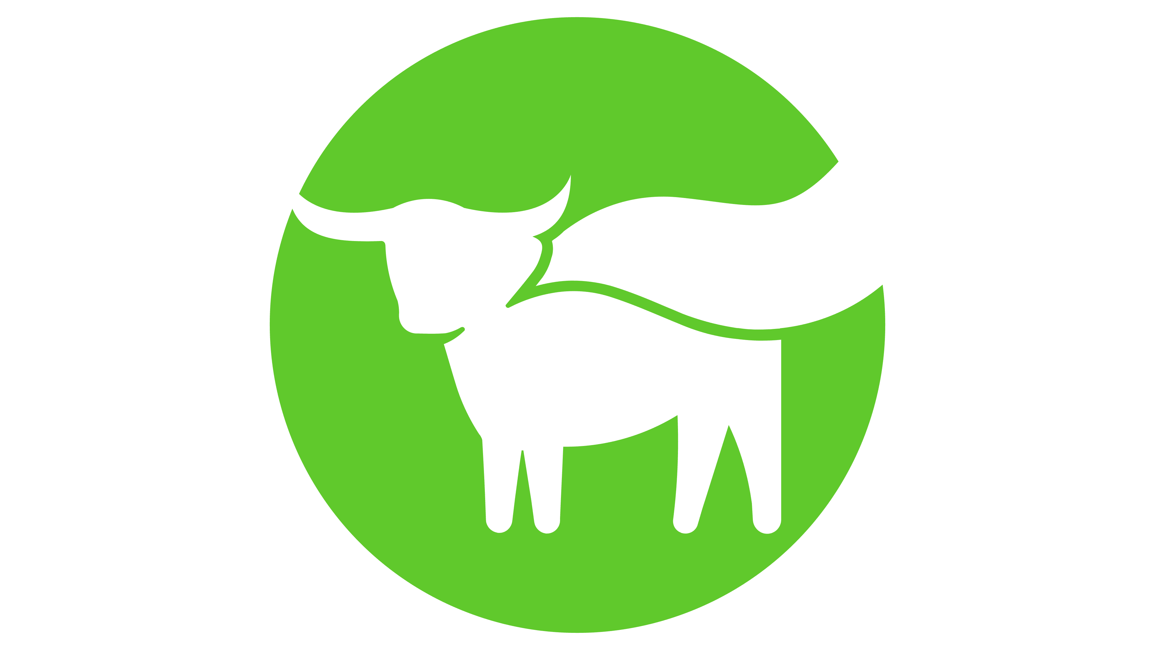 Will Beyond Meat announce bankruptcy before 2027?