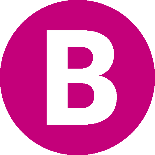 Will Danish Social Liberal Party be part of the next Government of Denmark?