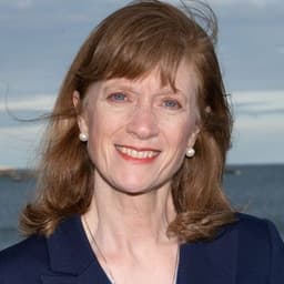 Will Diann Slavit Baylis be the Democratic nominee for MA-06?